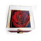 "Luxury preserved red rose in clear display box – eternal flower gift for mom, wife, or anniversary."