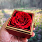 "Luxury red rose in gold gift box – preserved eternal rose for romantic jewelry or anniversary gift."